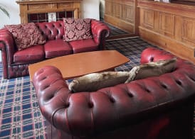 Carlton House Guesthouse 4