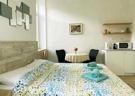 En-suite Rose on Rokova Street 4