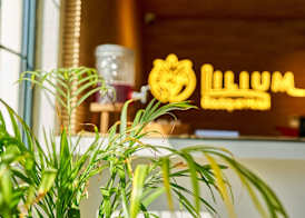 Lilium Boutique Hotel 2