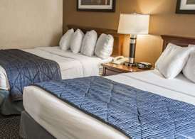 Quality Inn Schaumburg - Chicago near the Mall 5