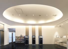 Sotetsu Fresa Inn Shimbashi-Karasumoriguchi 3