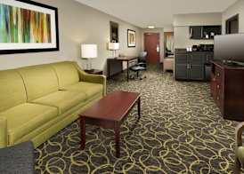 Holiday Inn Express & Suites DFW AIRPORT - GRAPEVINE by IHG 4