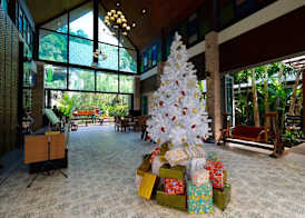 HULA HULA RESORT l truly tropical and fun wellness 2