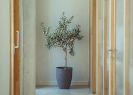 La Maison Gaïa Hôtel & Spa 2