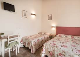 Rosa di Assisi 4