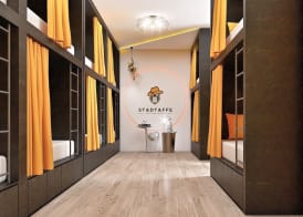 Stadtaffe - Chic Hostel VIE 3