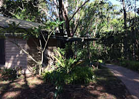 Byron Bay Rainforest Resort 3