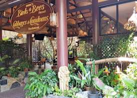 Birds and Bees Resort 4