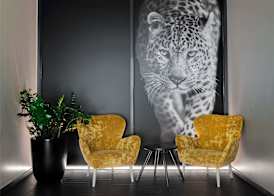 ibis Locarno 4