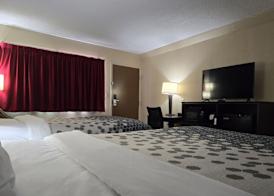 Econo Lodge Inn & Suites Mason City - Clear Lake 4