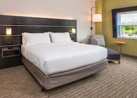 Holiday Inn Express & Suites TAMPA NORTH - WESLEY CHAPEL by IHG 3