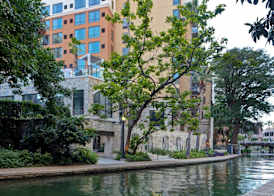 Home2 Suites By Hilton San Antonio on the Riverwalk 2