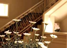Astoria Hotel 3