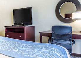 Comfort Inn & Suites Ballpark Area 4