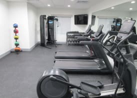 Reddy Hotel Bonham 5