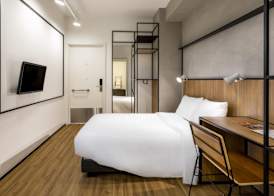 Ibis Aruja 3