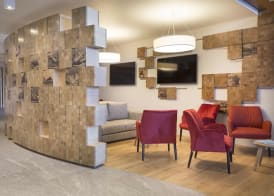 Hôtel Alparena & Spa - 4 étoiles 3