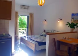 Lion-Suites 5