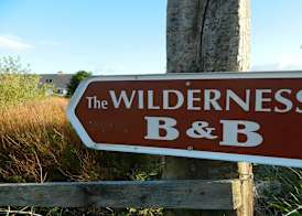 The Wilderness 3