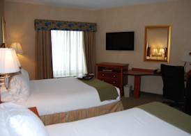 Holiday Inn Express & Suites AUBURN HILLS by IHG 4