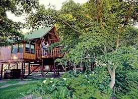 Tsitsikamma Lodge & Spa 5