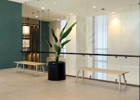 City Express Plus by Marriott Monterrey Centro 2