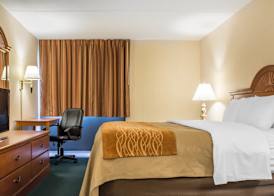 Comfort Inn Binghamton I-81 5