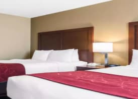 Comfort Suites Tampa Airport North 4