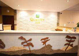 Quality Inn 4