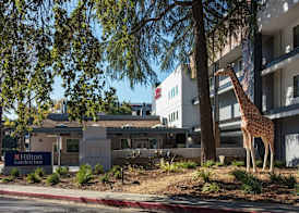 Hilton Garden Inn Davis Downtown 2