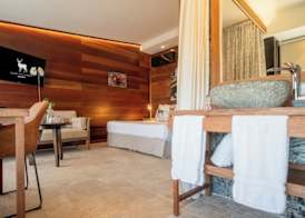 Hôtel Diana Dea Lodge & SPA 5