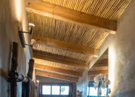 Finca Luz 5