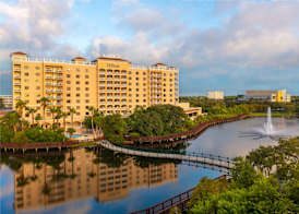 Hilton St. Petersburg Carillon Park 4