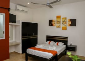 Gayser Apartamentos 4