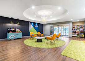 Spark By Hilton Missouri City 2