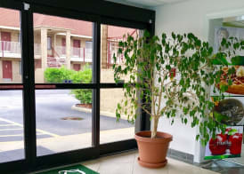 Quality Inn Little Creek 2