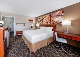 Days Inn by Wyndham St. Robert Waynesville/Ft. Leonard Wood 5