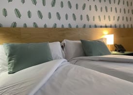 Alaró Natura Rural Suites 4