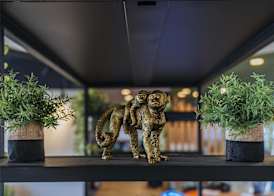 ibis budget Rouen Centre Rive Gauche 5