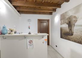 Flowers Apartments Rome City Center 3