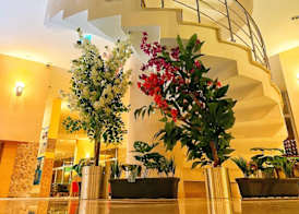 Grand Viking Hotel - All Inclusive 3