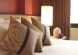 Rose Hotel 4