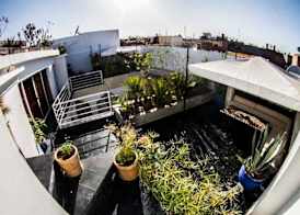 Riad THALGE 2