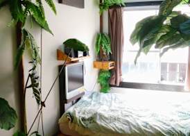 Lohas Villa 3