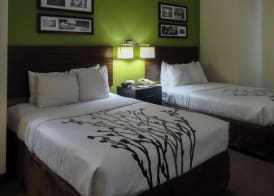 Sleep Inn & Suites Near Columbus - State University Area 4