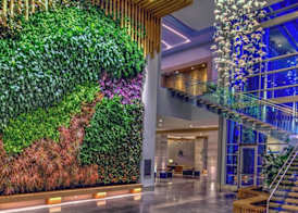 Marriott Virginia Beach Oceanfront Resort 5