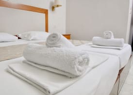 Hotel Ioni 4