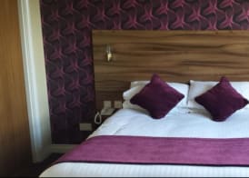 Mourne Country Hotel 4