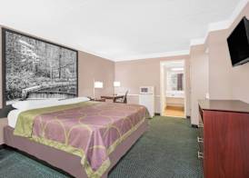 Super 8 by Wyndham Austell/Six Flags 4