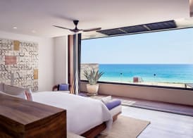 Zadun Los Cabos, a Ritz-Carlton Reserve 4
